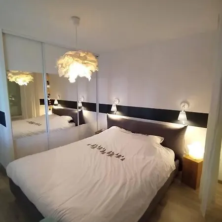Flat Near Geneva * Cessy